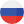 Russia Flag